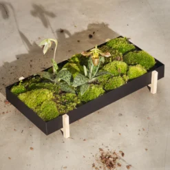 Design House Stockholm Botanic Flower Tray Plantendienblad -Woondecoratie Winkel 35766 01 03 b1071c1cb4 scaled