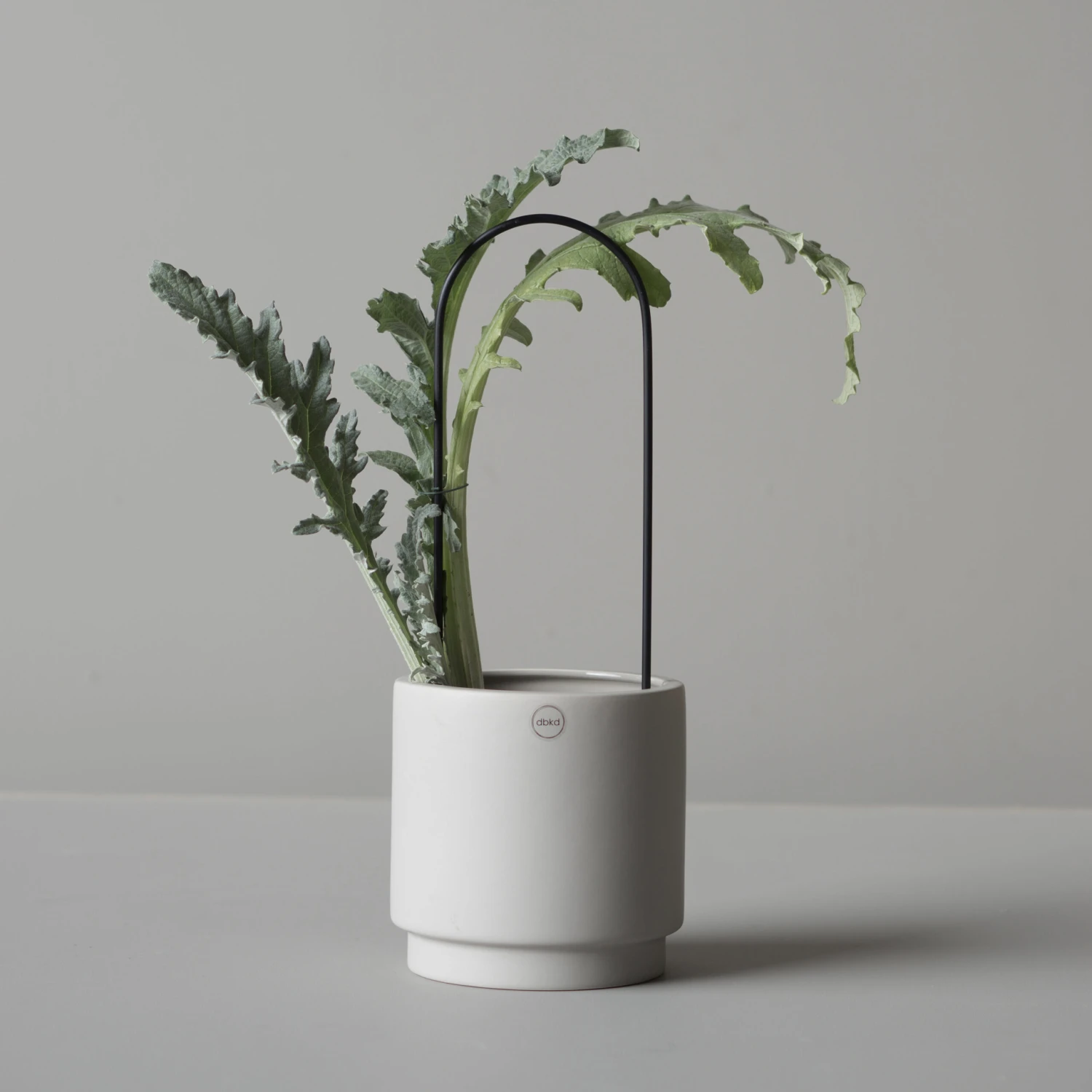 DBKD Flower Arc 2 DBKD Flower Arc - Afbeelding 2