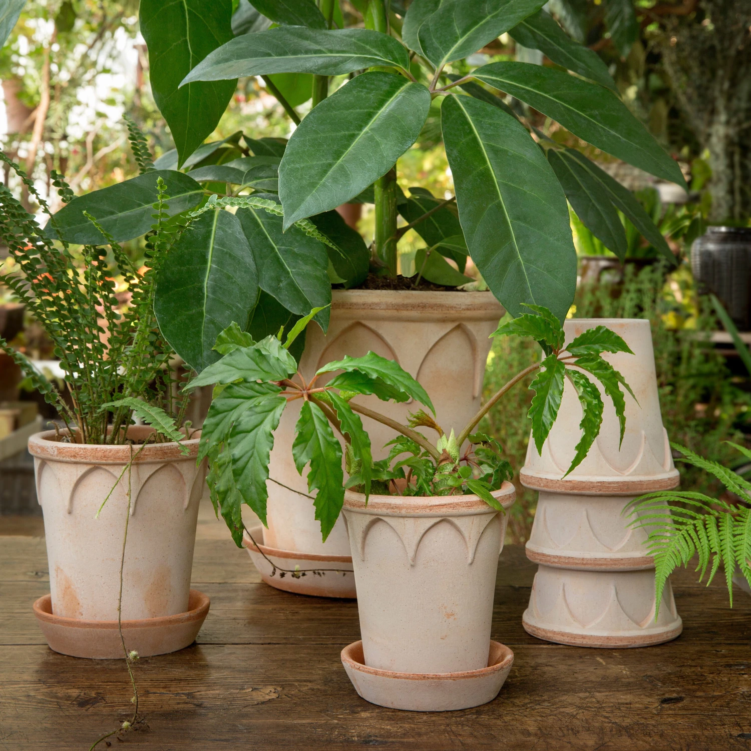 Bergs Potter Elizabeth Pot Ø25 Cm 3 Bergs Potter Elizabeth Pot Ø25 Cm - Afbeelding 3