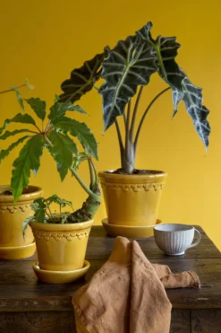 Bergs Potter Copenhagen Pot Geglazuurd Ø14 Cm -Woondecoratie Winkel 46739 04 4 EnvironmentImage e501bd4fae scaled