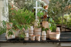 Bergs Potter Helena Pot Ø30 Cm -Woondecoratie Winkel 46745 01 3 EnvironmentImage 3053cfbd6b scaled