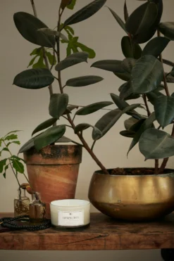 Lexington Hotel Serenity Geurkaars 3 Lonten 5 Lexington Hotel Serenity Geurkaars 3 Lonten -Woondecoratie Winkel 502958 01 3 EnvironmentImage 6a914bb6b8 scaled