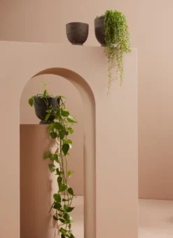 AYTM Terra Bloempot-vaas 20 Cm -Woondecoratie Winkel 511453 01 5 EnvironmentImage 7a03bc6768 scaled