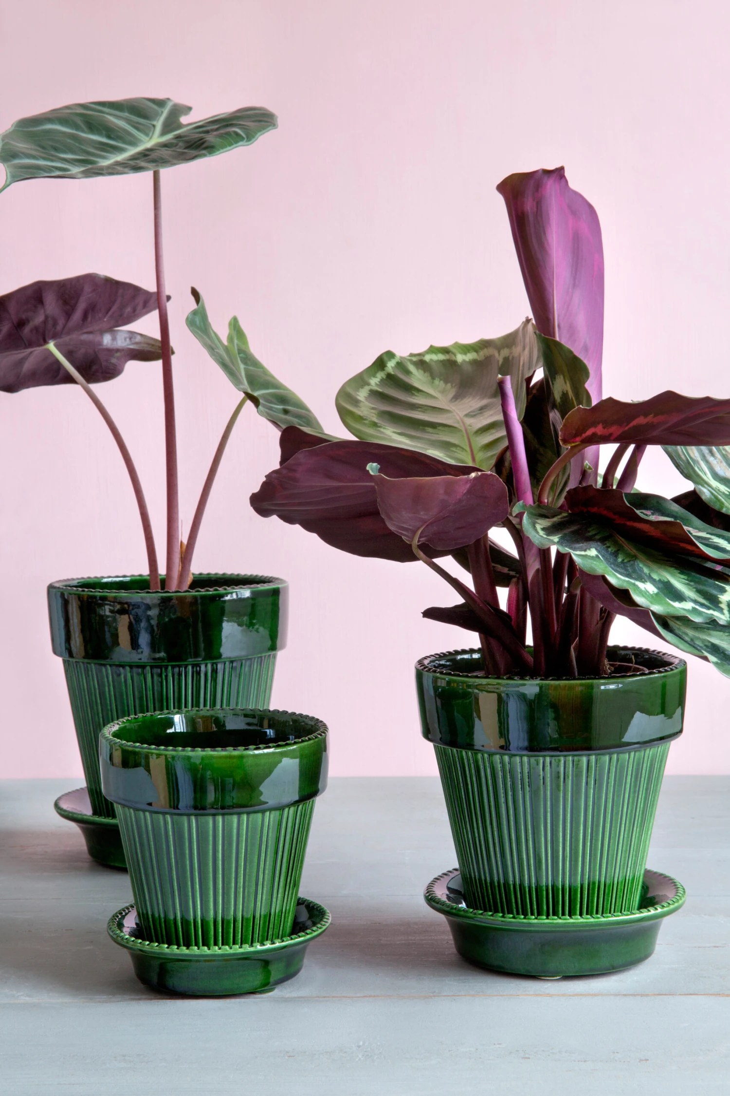 Bergs Potter Simona Bloempot Geglazuurd Ø12 Cm 2 Bergs Potter Simona Bloempot Geglazuurd Ø12 Cm - Afbeelding 2