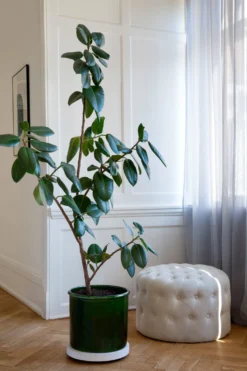 Bergs Potter Modena Bloempot Geglazuurd Ø30 Cm -Woondecoratie Winkel 572410 01 41 EnvironmentImage 7822cc7cd8 scaled