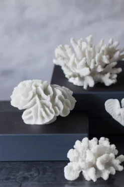 Mette Ditmer Coral Branches White 6 Mette Ditmer Coral Branches White -Woondecoratie Winkel 578772 01 41 EnvironmentImage deda7bb0ef scaled