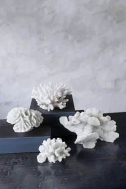 Mette Ditmer Coral Branches White 7 Mette Ditmer Coral Branches White -Woondecoratie Winkel 578772 01 42 EnvironmentImage cb3d3f4962 scaled